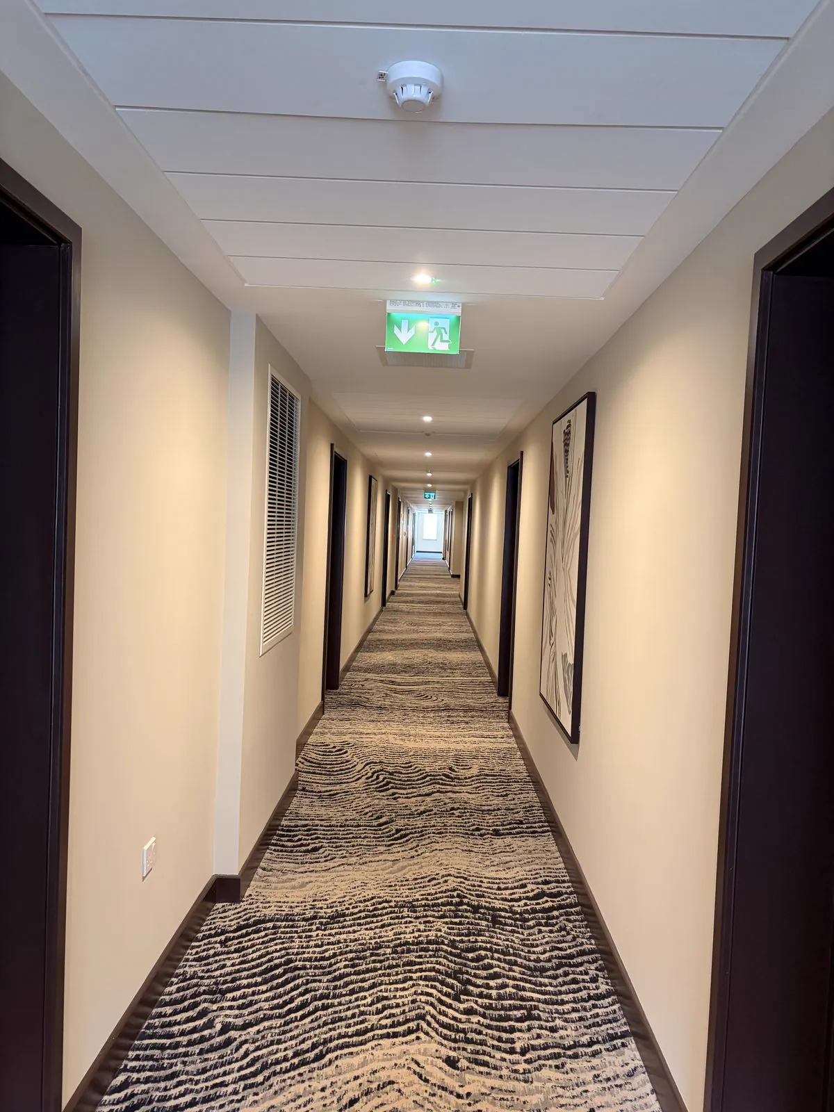 Corridor with dark apartment doors either side, patterned carpet and a framed print on the wall.