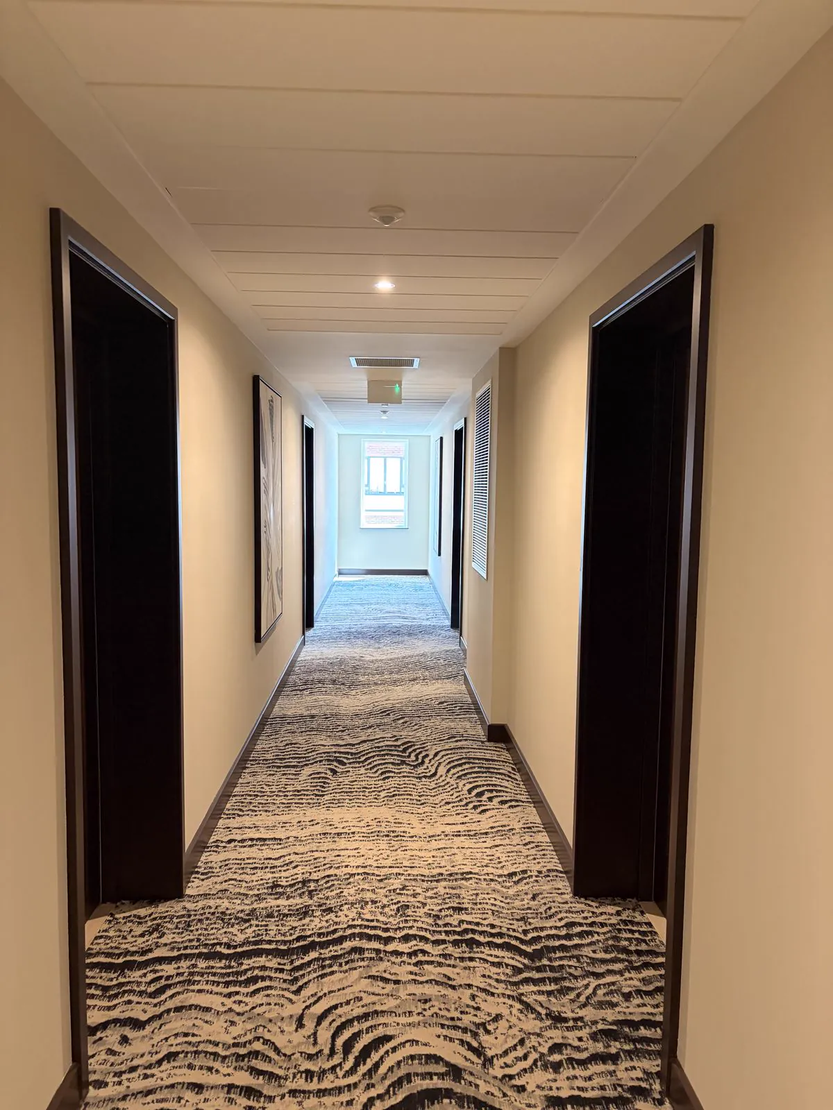 Corridor looking towards a bright window, with dark doors, patterned carpet and framed prints.